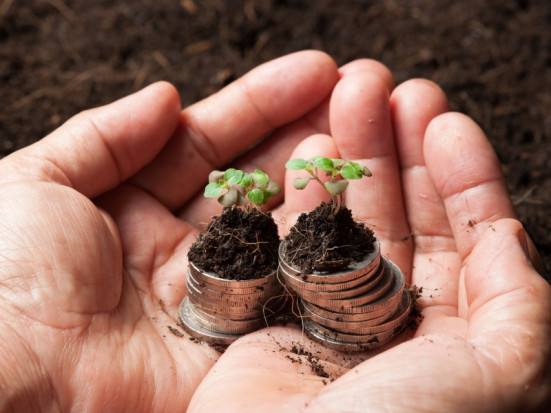 Ist Ökostrom teurer als Graustrom? Ist Ökostrom teurer als Graustrom?